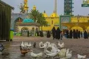 حال وهوای بارانی در کاظمین و سامرا/ گزارش تصویری