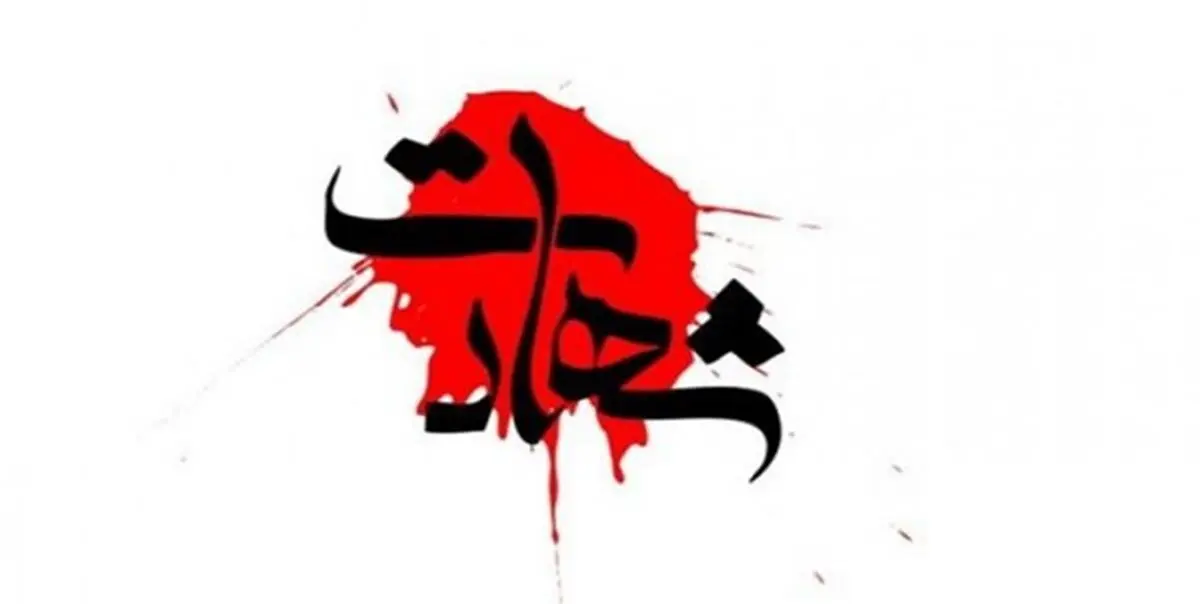 خلبان جنگنده میگ ۲۹ به شهادت رسید
