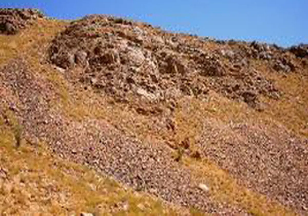 
کشف معدن طلا در نهبندان

