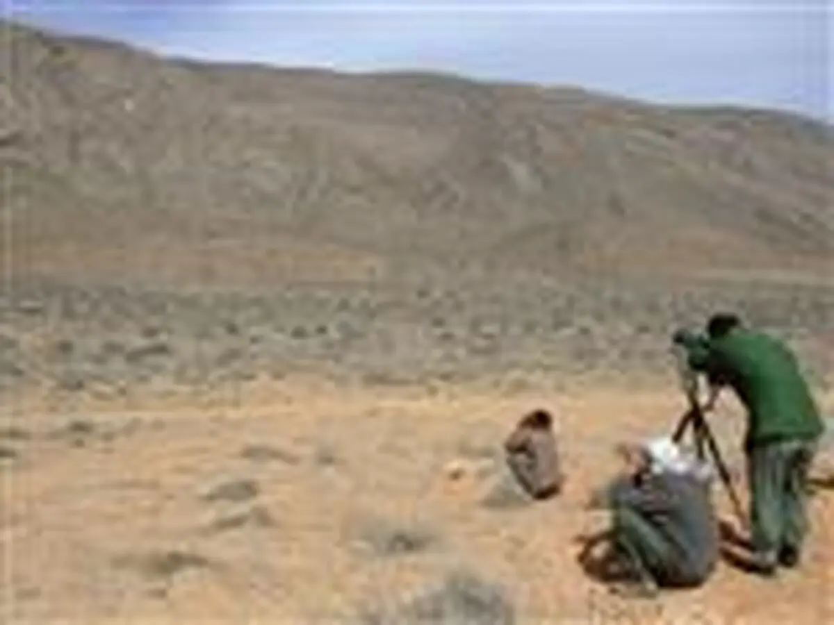 انتشار آمار گونه های حیات وحش