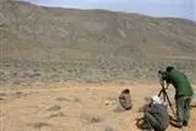 سرشماری حیوانات در ارتفاعات تهران آغاز شده است