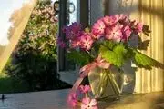 امید به خدا و درهای رحمتی که یکی پس از دیگری باز می شوند