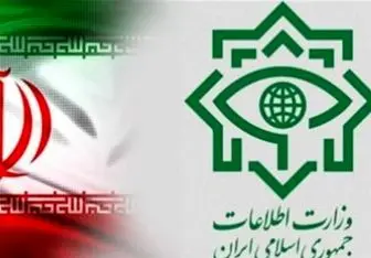 اطلاعیه وزارت اطلاعات در مورد عاملان ترور شهید فخری‌زاده