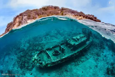  دنیای زیر آب 