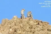 یوزپلنگ ایرانی
در
فنلاند دیده می‌شود