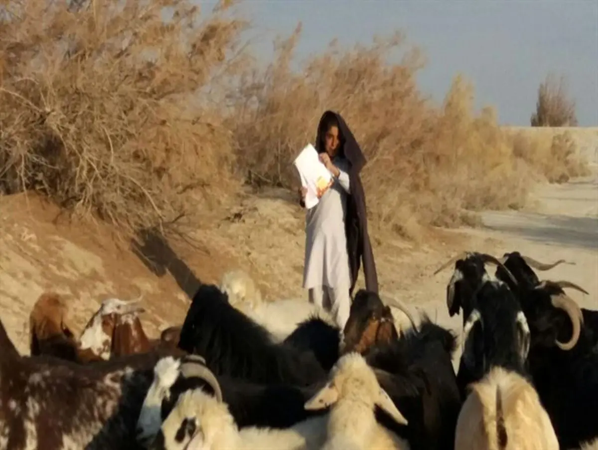 چوپانی که پزشک خواهد شد