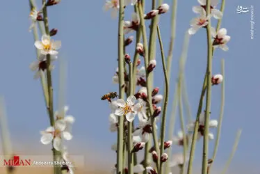 bvyeIe5AkcQ1