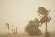 کاهش شعاع دید در زهک در پی وقوع طوفان

