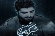 معرفی مستند «شبی که طوفان شد»