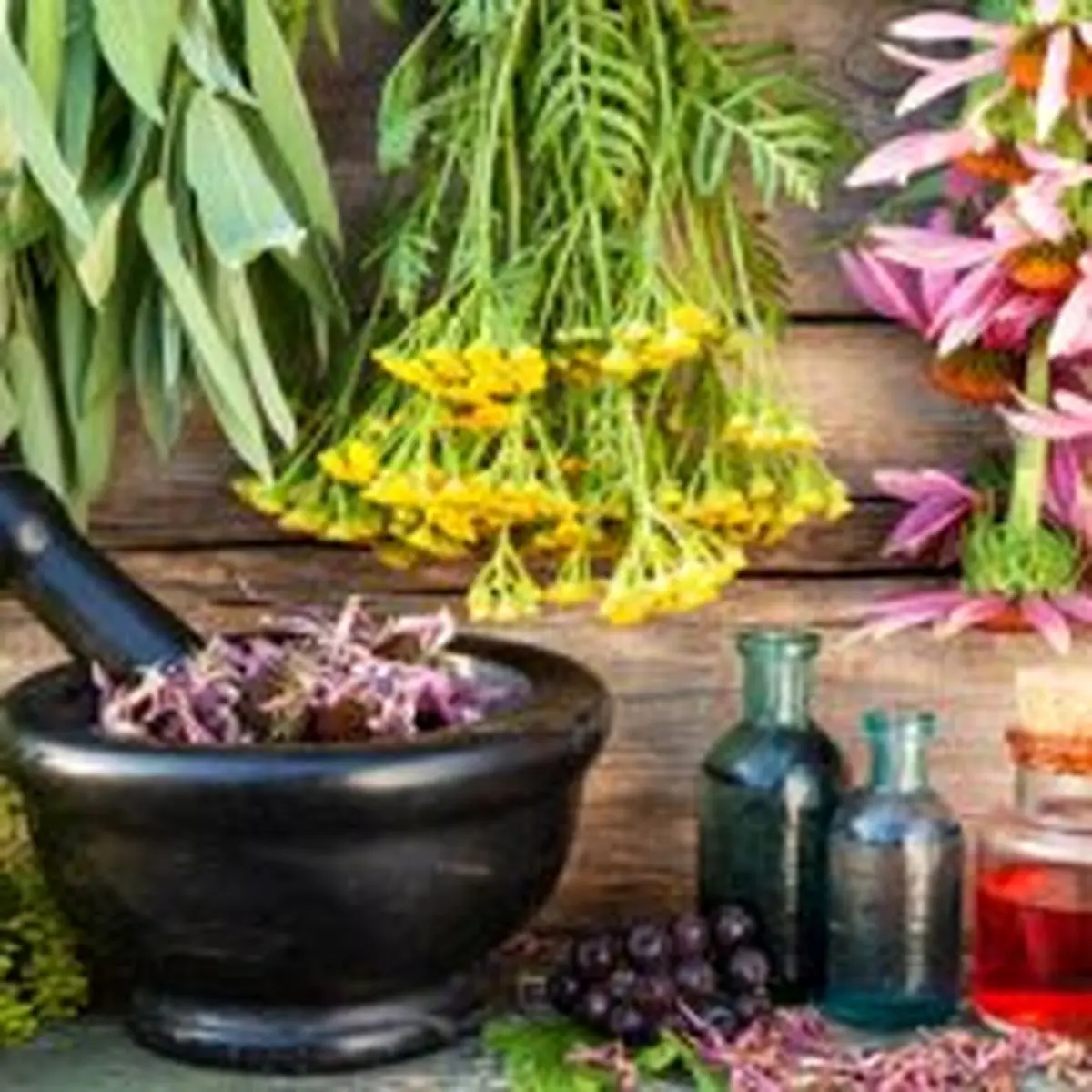۶ ترکیب بینظیر گیاهی برای جذب بیشتر آهن را بشناسید