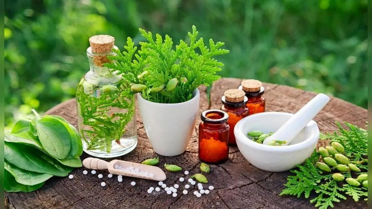 داروهای گیاهی که برای درمان کرونا مجوز گرفت+ اسامی
