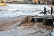 امدادرسانی به مردم سیل زده روستاهای لرستان/ عکس