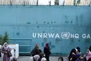 بیشترین تلفات سازمان ملل، در نوار غزه