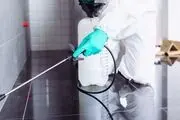 بهترین زمان برای سمپاشی
