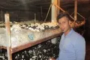 پرورش قارچ در زیر زمین خانه توسط جوان ملاردی
