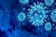 ویروس کووید بیش از یک سال در بافت ها باقی می ماند