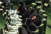 اساسنامه فراکسیون زنان مجلس نیازمند بازنگری است