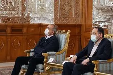دیدار وزیر امور خارجه صربستان با رئیس مجلس
