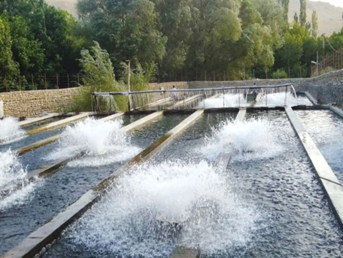 احداث استخر پرورش ماهی در راستای تحقق اقتصاد مقاومتی در فریدونکنار