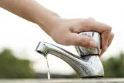 ضعف وزارت نیرو در ایجاد تشکل های آب بران