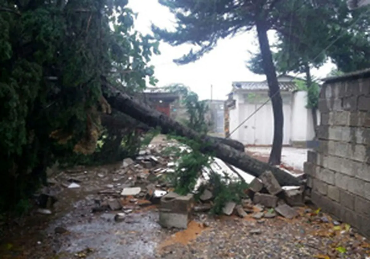 تندباد 65 کیلومتری در مازندران
