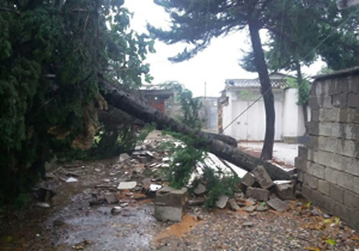 
تندباد 65 کیلومتری در مازندران
