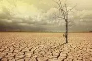 تاثیر دیگر ناشی از تغییرات اقلیمی