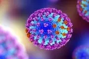  افزایش سرایت ویروس کرونا در دو هفته اخیر 