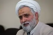 محمدیان: ترامپ دیوانه‌وار از منافع آمریکا حمایت می‌کند
