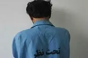 عامل تیراندازی خیابان ایرانشهر دستگیر شد
