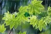 بارش‌ها در کشور از عصر امروز آغاز می‌شود
