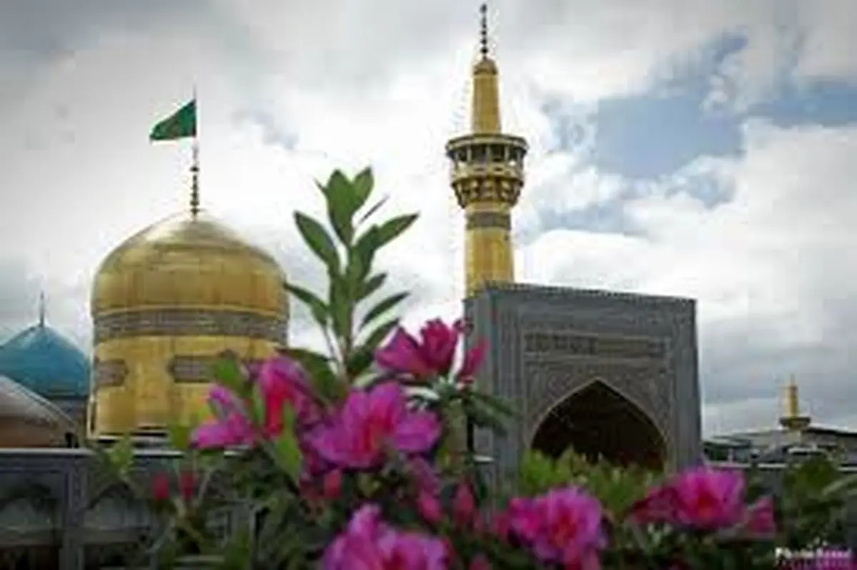 سخنانی ناب از لسان گهربار امام رئوف(ع)