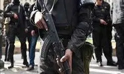 نیروهای امنیتی مصر 11 تروریست را کشتند