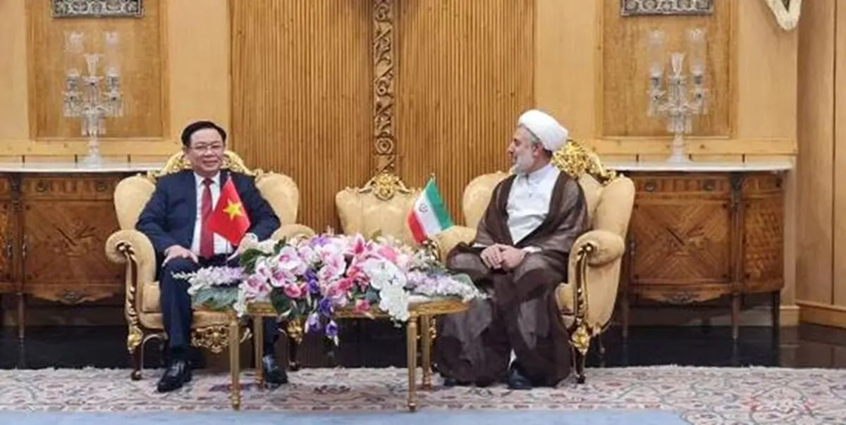 ایران و ویتنام از آمریکا و غرب زخم خورده هستند