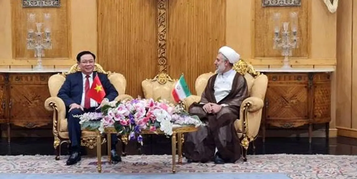ایران و ویتنام از آمریکا و غرب زخم خورده هستند