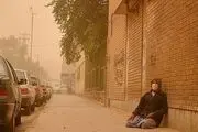 ابتکار دولت همچنان قربانی می گیرد