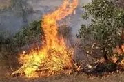 جنگل و مراتع لرستان بر روی بمب ساعتی آتش سوزی!