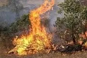 جنگل و مراتع لرستان بر روی بمب ساعتی آتش سوزی!