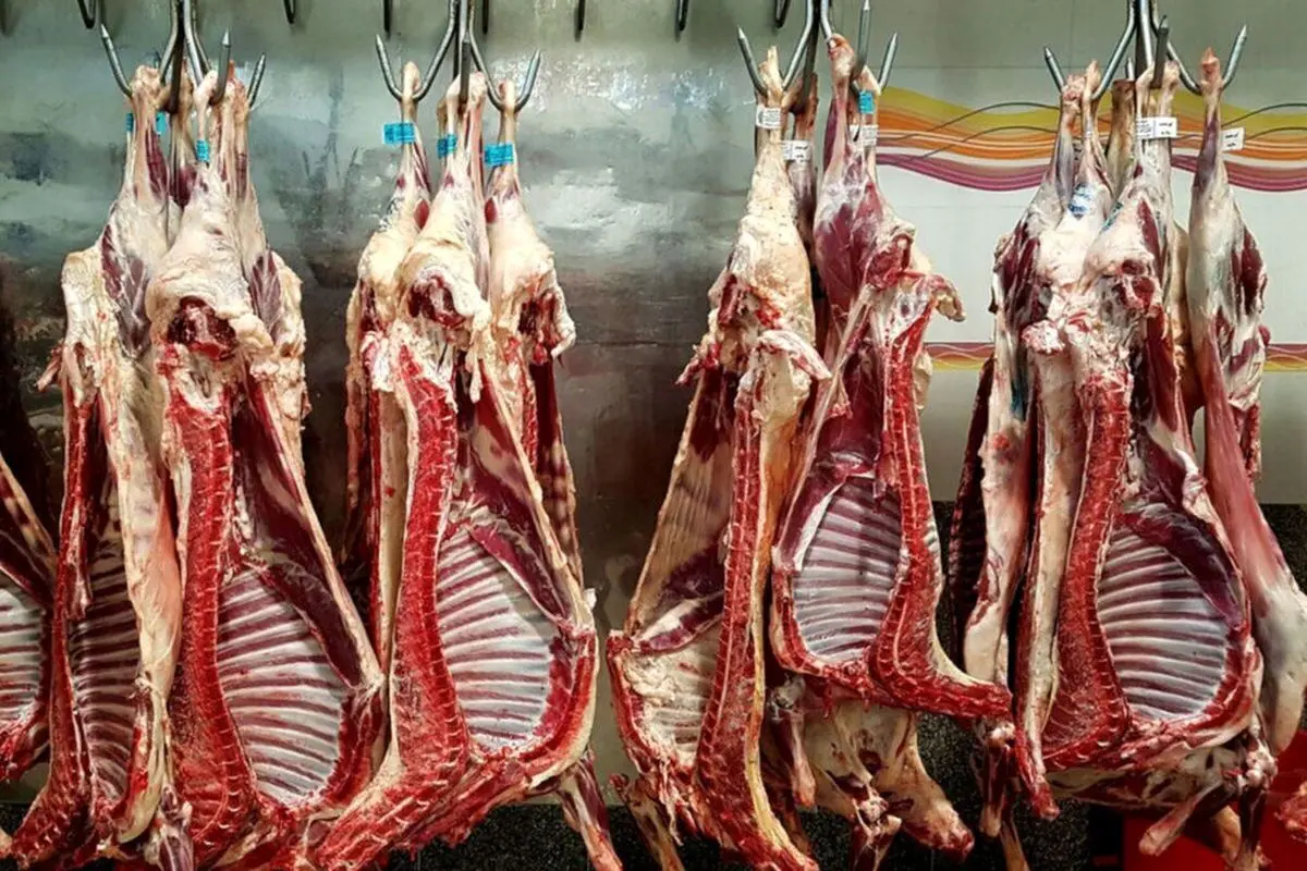 جهش قیمت گوشت: گوشت گوسفندی ۷۵۴ هزار تومان!