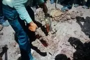 قاچاقچیانی که مشروبات الکلی را در زمین کشاورزی دفن کردند