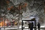  چهره زمستانی این روزهای اصفهان/ گزارش تصویری