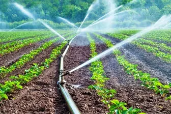 ۹۰ میلیارد متر مکعب آب در بخش کشاورزی مصرف می‌شود