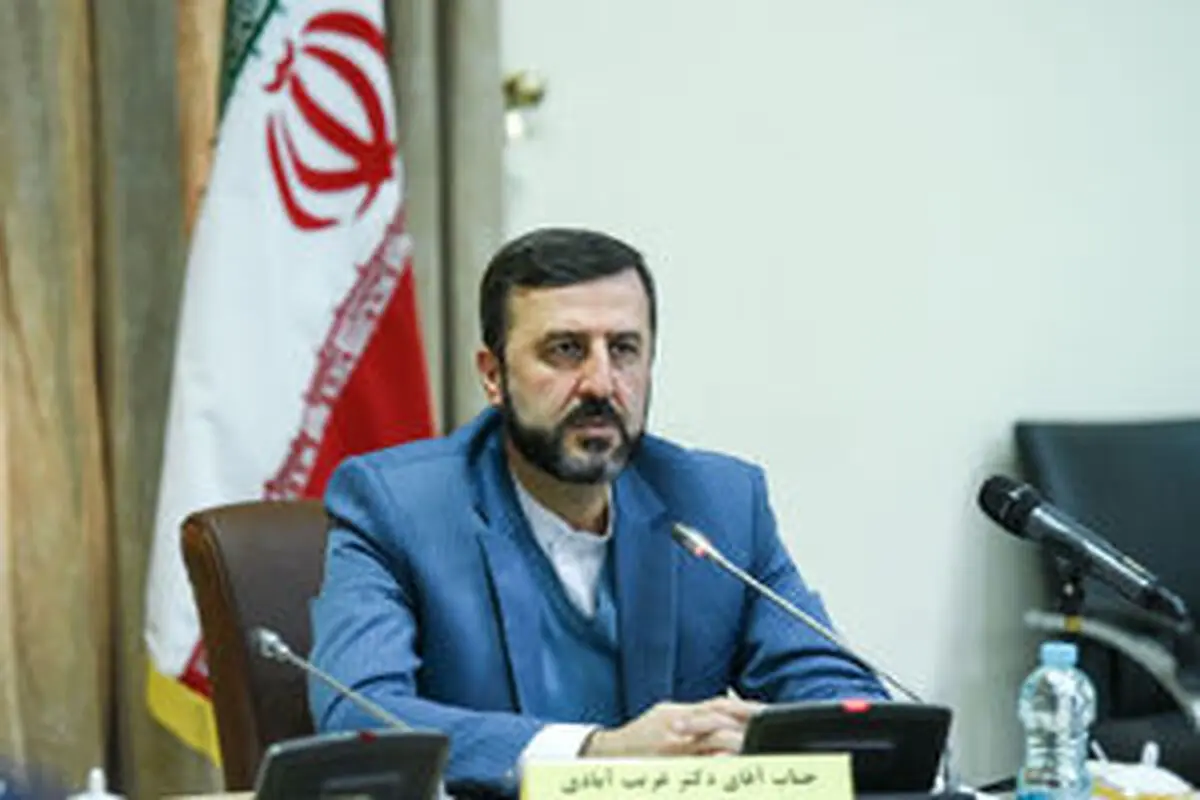 
 شرایط دو ایرانی محبوس در آمریکا مساعد نیست
