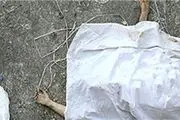نگهبان سر به هوا عامل مرگ مسافر مترو