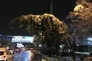 کشف جدید و بسیار جالب دانشمندان