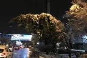 کشف جدید و بسیار جالب دانشمندان