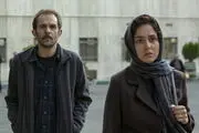 صدور پروانه نمایش برای مغز استخوان

