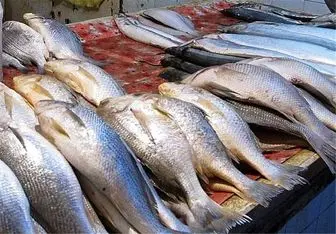 نرخ انواع ماهی در آستانه یلدا