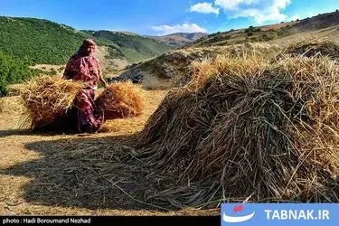 روز ملی روستا و عشایر/گزارش تصویری