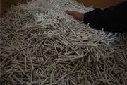 ۱۳
هزار
نخ سیگار قاچاق در قاین کشف شد 